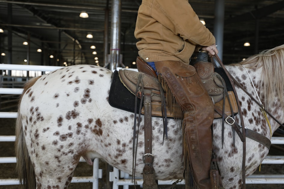 The All American Futurity Explained