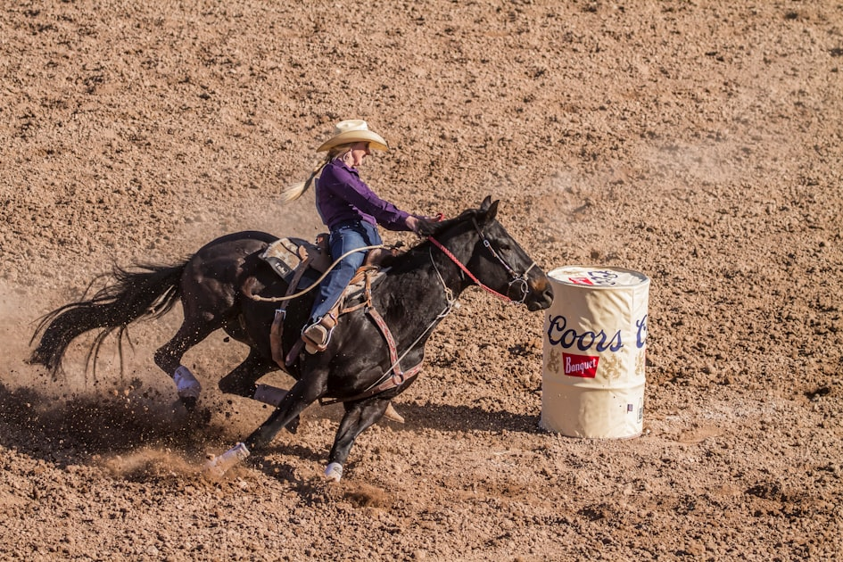 Horse Profiles: Million-Dollar Champions