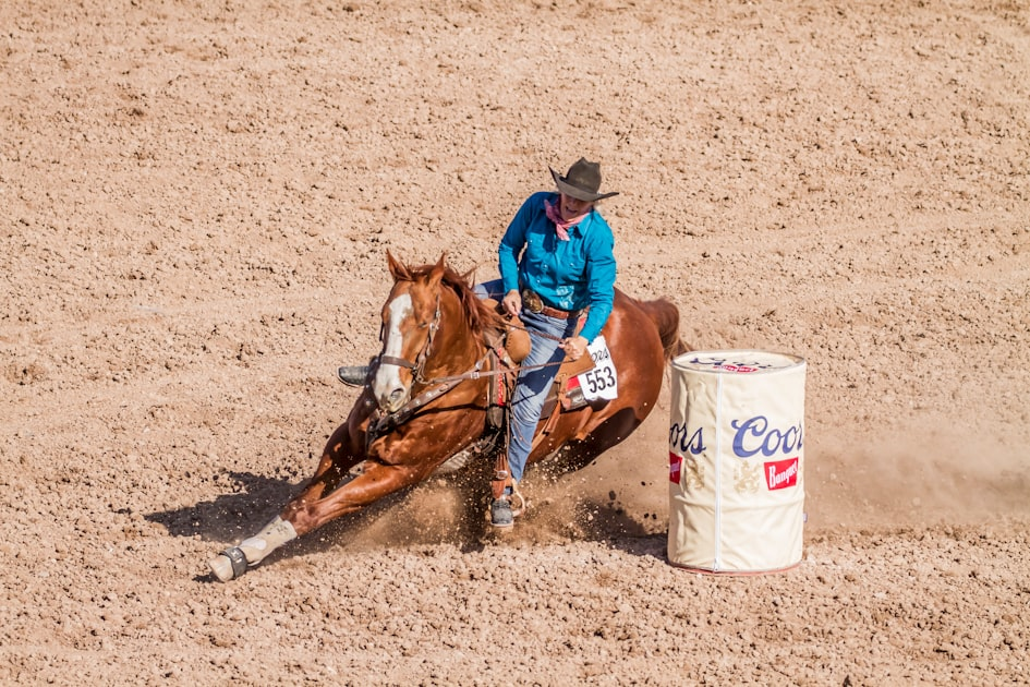 Understanding Quarter Horse Racing